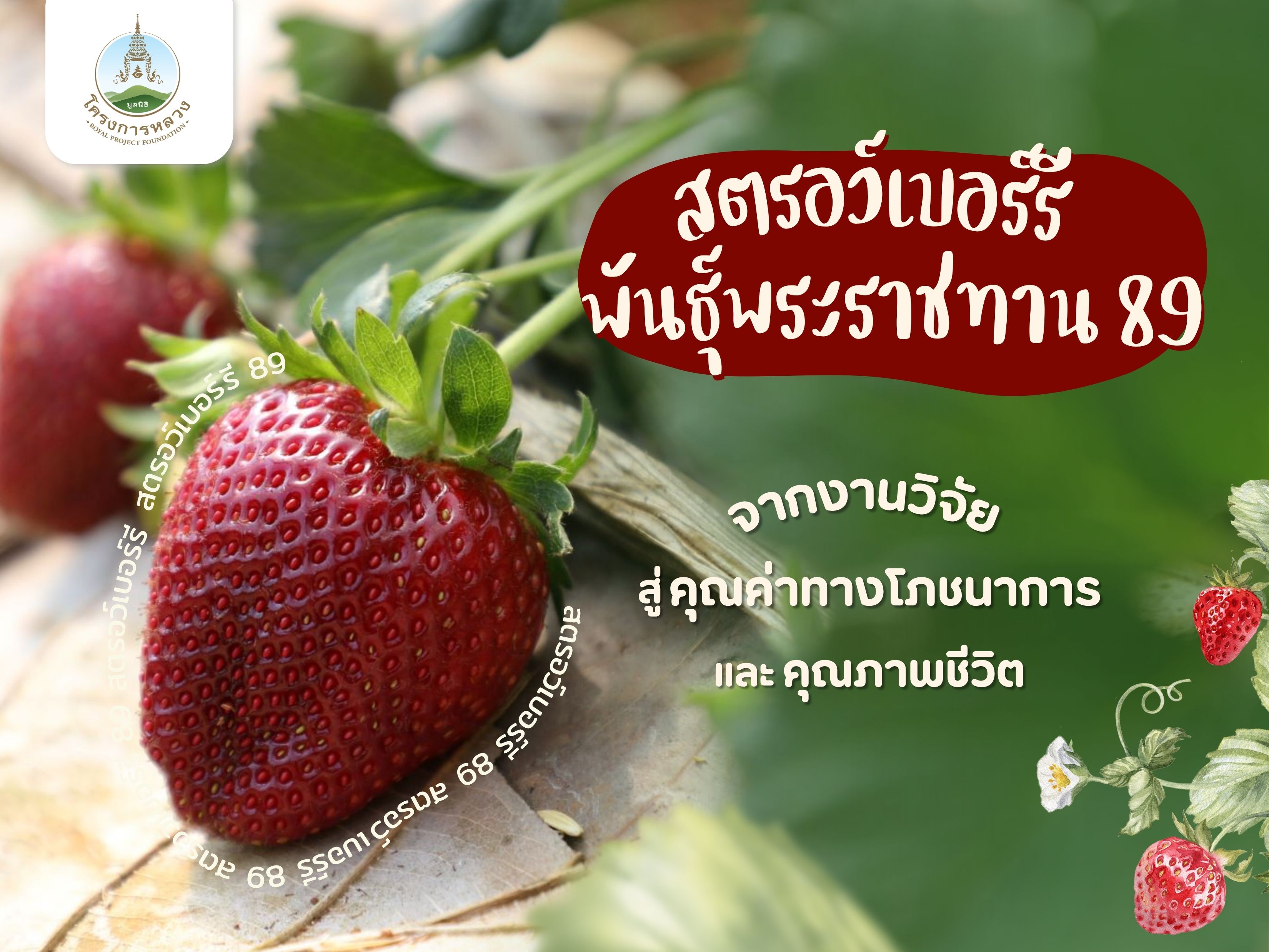 สตรอว์เบอร์รีพันธุ์พระราชทาน 89 "จากงานวิจัย สู่คุณค่าทางโภชนาการและคุณภาพชีวิต"